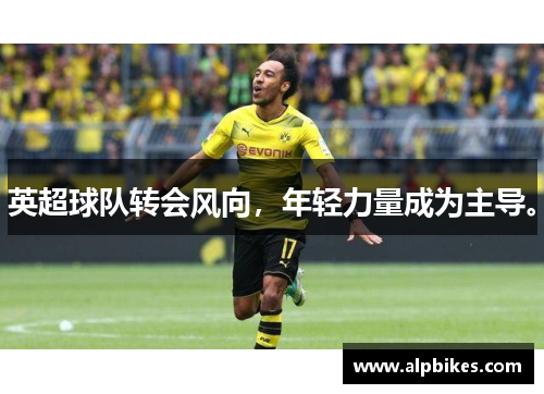 英超球队转会风向，年轻力量成为主导。